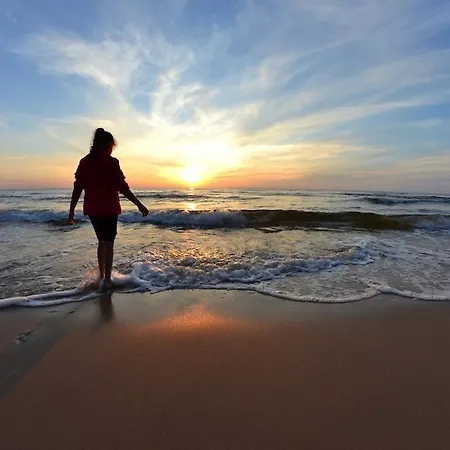 Appartement Diva Natalia, Blisko Plazy